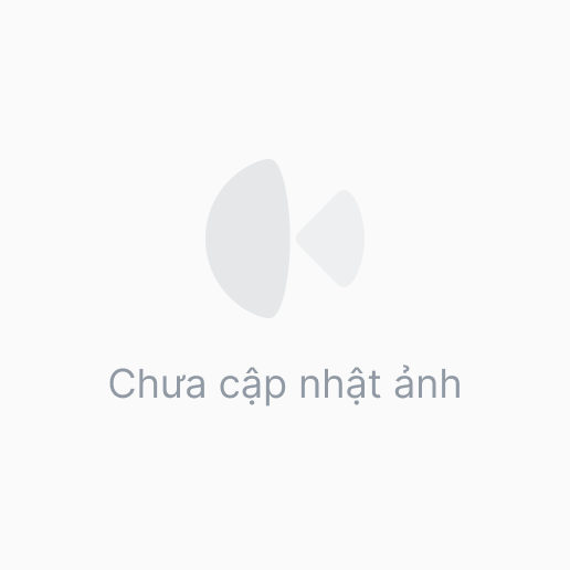 Nem chua rán Nguyên Hoàng 1kg 40c